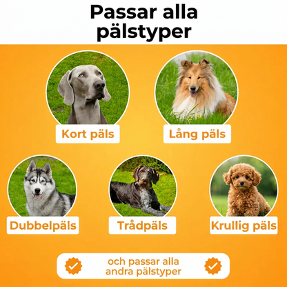 Pälsly - hundborste