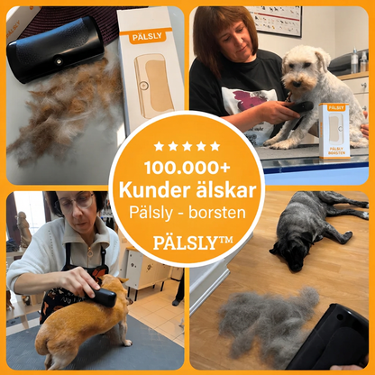 Pälsly - hundborste